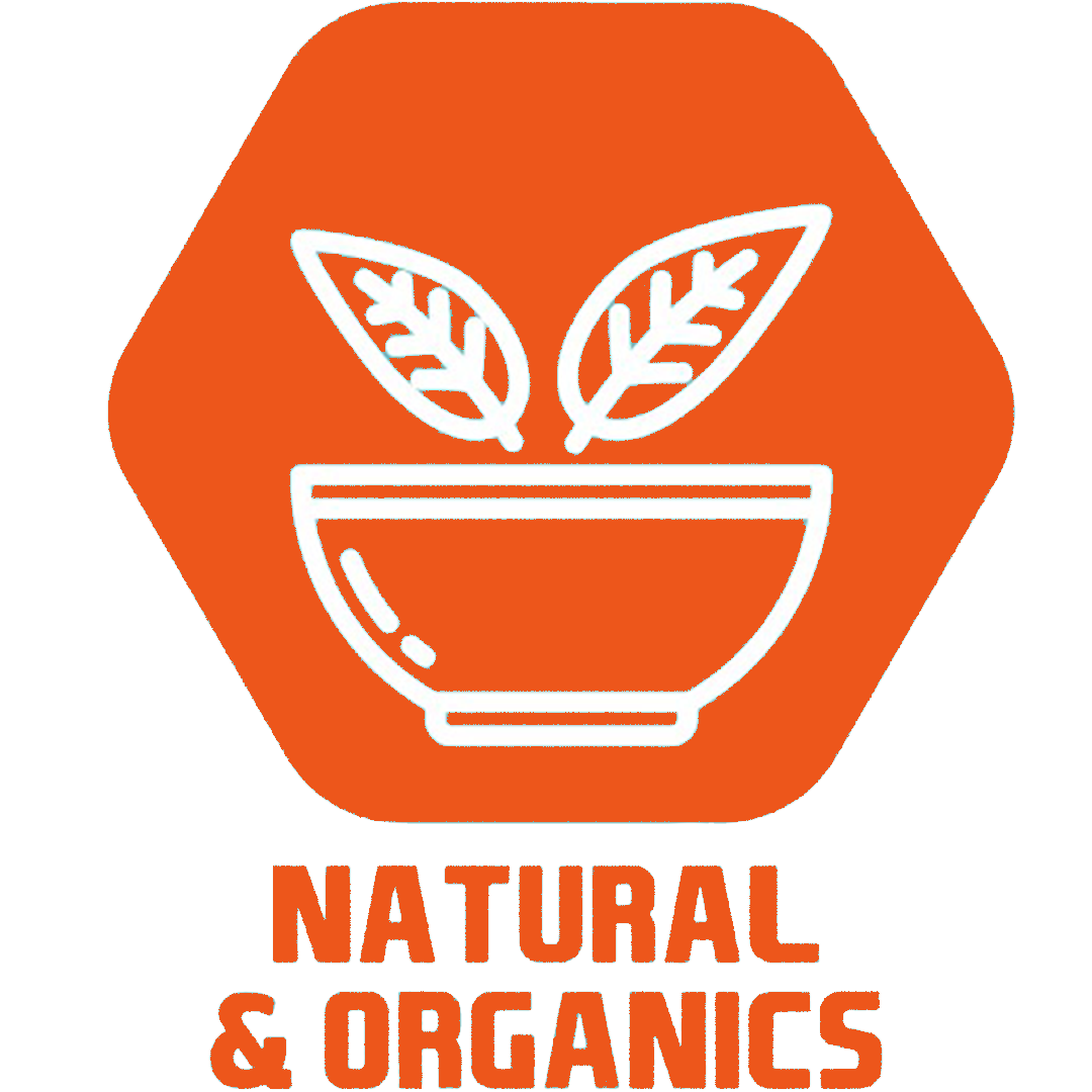 MicrosoftTeams-image (32)