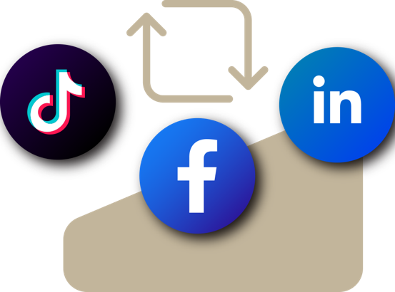 Mirroring Post: TikTok, FB, Linkedin